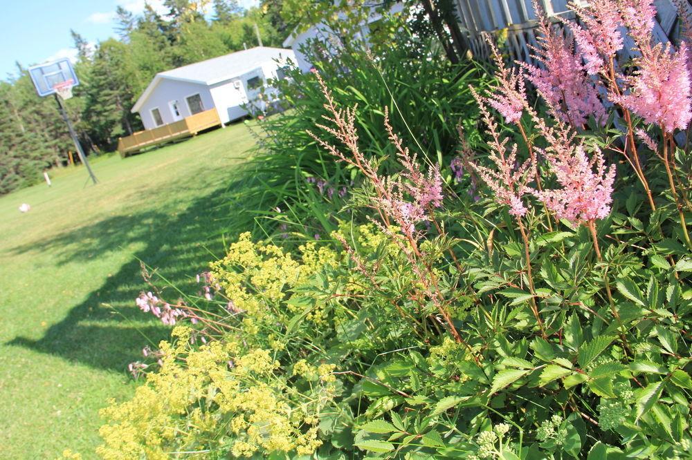 Hidden Acres Cottages كيفينديش المظهر الخارجي الصورة