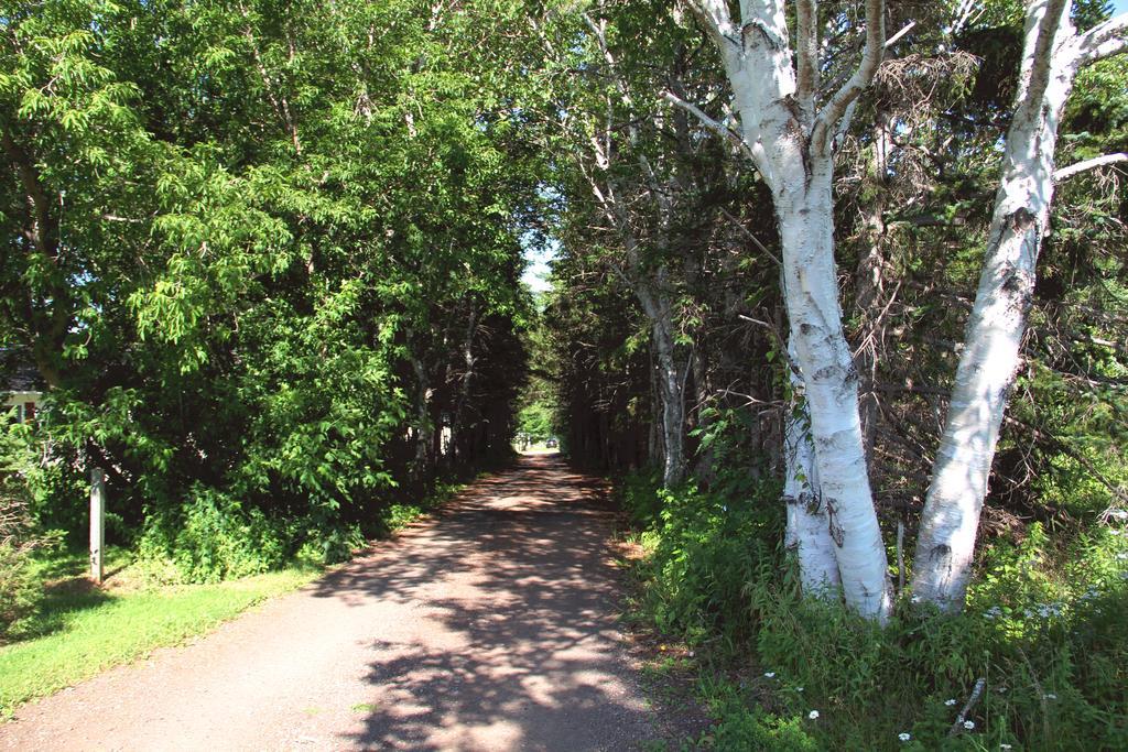 Hidden Acres Cottages كيفينديش المظهر الخارجي الصورة